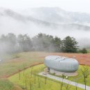 백두산야초 이미지