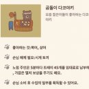곰돌이타코야끼 이미지