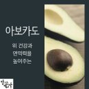 위건강과 면연력을 높여주는 아보카도 이미지