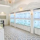 천안강아지분양 우리집퍼피 천안아산본점 (하이도그) 이미지