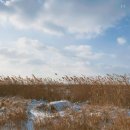 그대안의 풍경 이미지