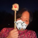 스테이상아 이미지