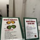 유 피씨 | 구월마카롱 두쫀쿠 예약 성공! 나 드디어 구마 두쫀쿠 먹는댜