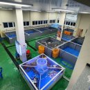 대게타운 이미지