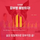 [렌탈바꿈-프리미엄샵] 우리집 귀염둥이를 위한 나만의 선물! 이제 우리집 강아지의 건강도 챙겨볼까요? 아베크 반려동물 털 청정케어러 이미지