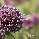 코끼리유통 이미지