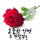 행복한 아침 이미지