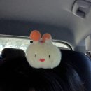 문수국제양궁장(주말,동절기) | [울산여행] 울산 문수경기장 다녀온 날 ⚽ 울산HD 경기 직관 후기