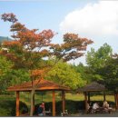 율동공원 이미지