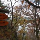 고란약수 이미지