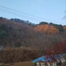 갈천훼미리리조트