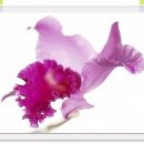 모던아트 이미지