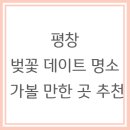 평창강가에서 | 평창 벚꽃 데이트 명소 가볼 만한 곳 추천