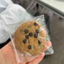 5,6월_개강~종강 2편
