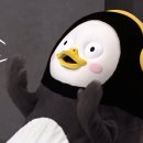 이지생활 이미지