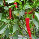 연풍농장 이미지