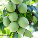 서울닥터스요양병원 이미지