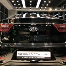 닥터 카테일링 이미지