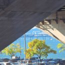 (주)엠펀펀월드 | 아이브 월드투어 251101 후기 / KSPO 시야 / 안유진 손하트 / 요리하는남자