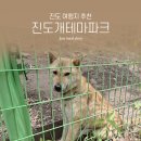 진도개 53카페 | [국내여행/진도] 진도 가볼만한곳 &#34;진도개테마파크&#34;