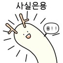 비비음악학원 이미지