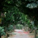 신흥3농장 이미지