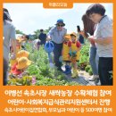이병선농장 위클리오늘