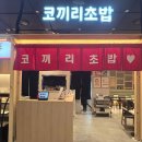 쉐프보보브랜드 | 광화문 점심 초밥 맛집 코끼리 초밥, 신선한 재료로 만든 초밥 맛집