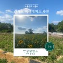 서울근교 이색데이트 아이랑 경기도 안성팜랜드 총정리