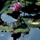 죽동체육공원 이미지