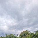 종철농장 이미지