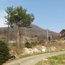 신원보건지소 이미지