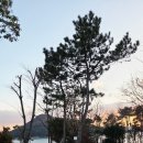 산달바다 캠핑장 | 거제 산달바다캠핑장 갯벌 식세기 최고ㅋㅋ