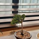 마이홈투 이미지