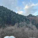 #6 인제 갯골자연휴양림(오토캠핑 A08)
