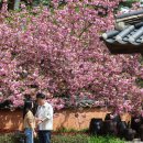 초당동-3 이미지