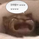 가차샵 이미지