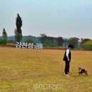 (주)코스모스항공여행사 투어코리아