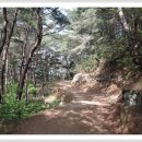 지리산신선둘레길 이미지