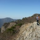 곰소장모님젓갈 이미지