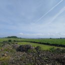 든돌민박 이미지