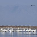 한가로이 이미지