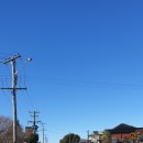 뉴캐슬마트 이미지