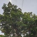 황금3로-R 이미지