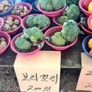 이다훈스튜디오 이미지