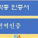 사랑방행정사 이미지