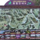 전사벌왕릉 이미지