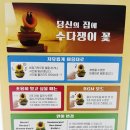 다인슈퍼 | 🌼슈퍼마리오 브라더스 원더🌸수다쟁이 꽃 피규어 후기 | 귀여운 닌텐도 마리오 굿즈