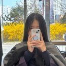 별내동43통(별가람마을1-2단지) | 별내 미용실 추천 끊어진 모발 클리닉, 에이바헤어 후기 (별내동 미용실)