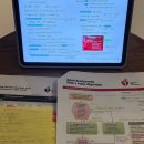 전도자원 | ACLS Provider 취득 후기
